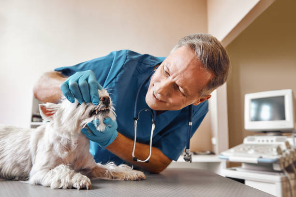 Best Emergency Root Canal Treatment in Lakeport, TX